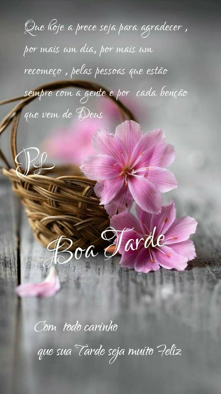 boa tarde com carinho