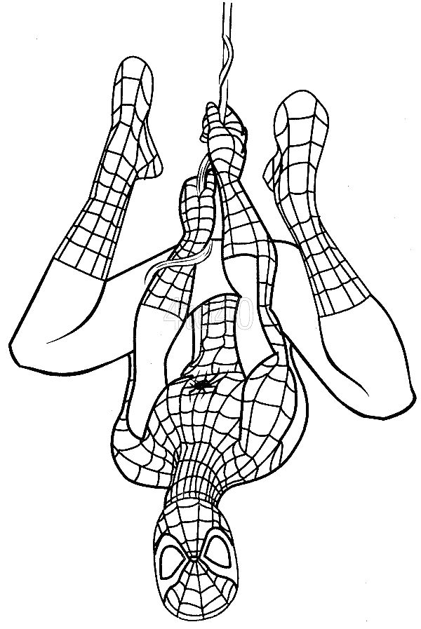 Homem Aranha para colorir