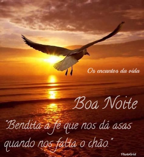msg de boa noite para WhatsApp