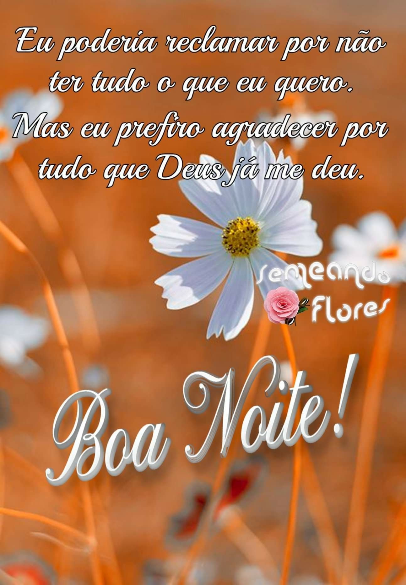 Mensagens de Boa Noite para WhatsApp com Imagem Bonita