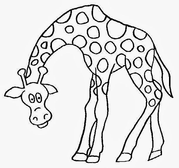 desenhos de animais para colorir