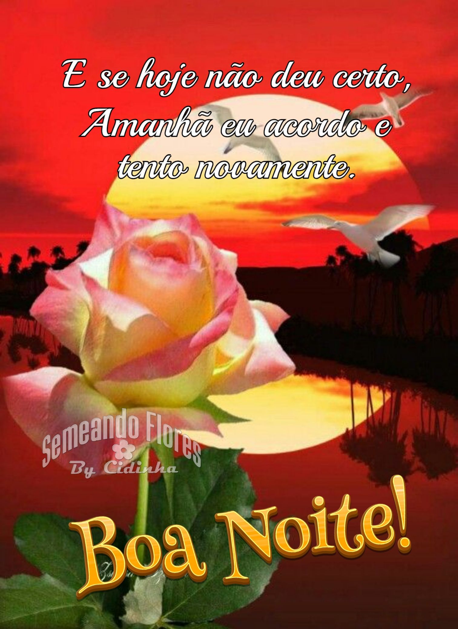 boa noite com flores