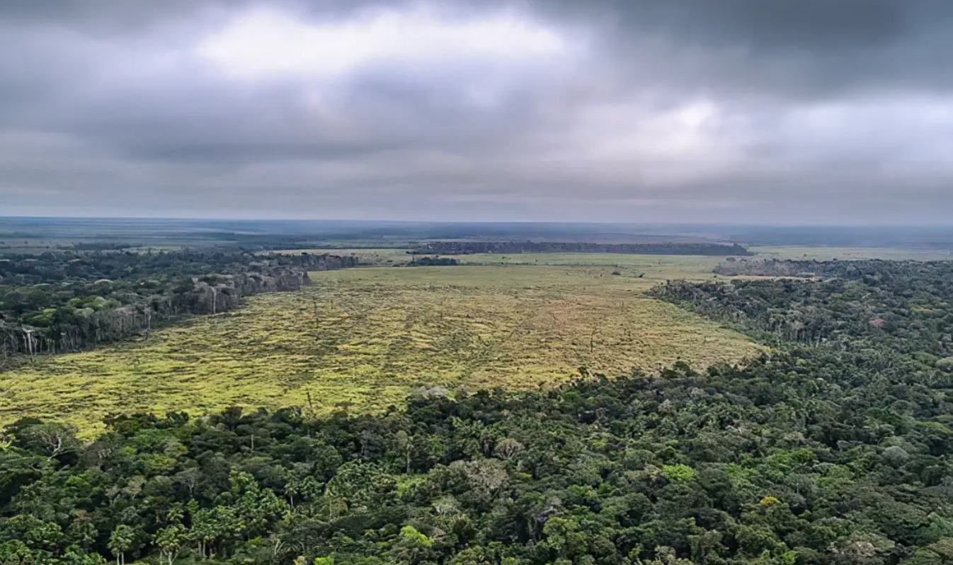 Amazônia (AM/PA)
