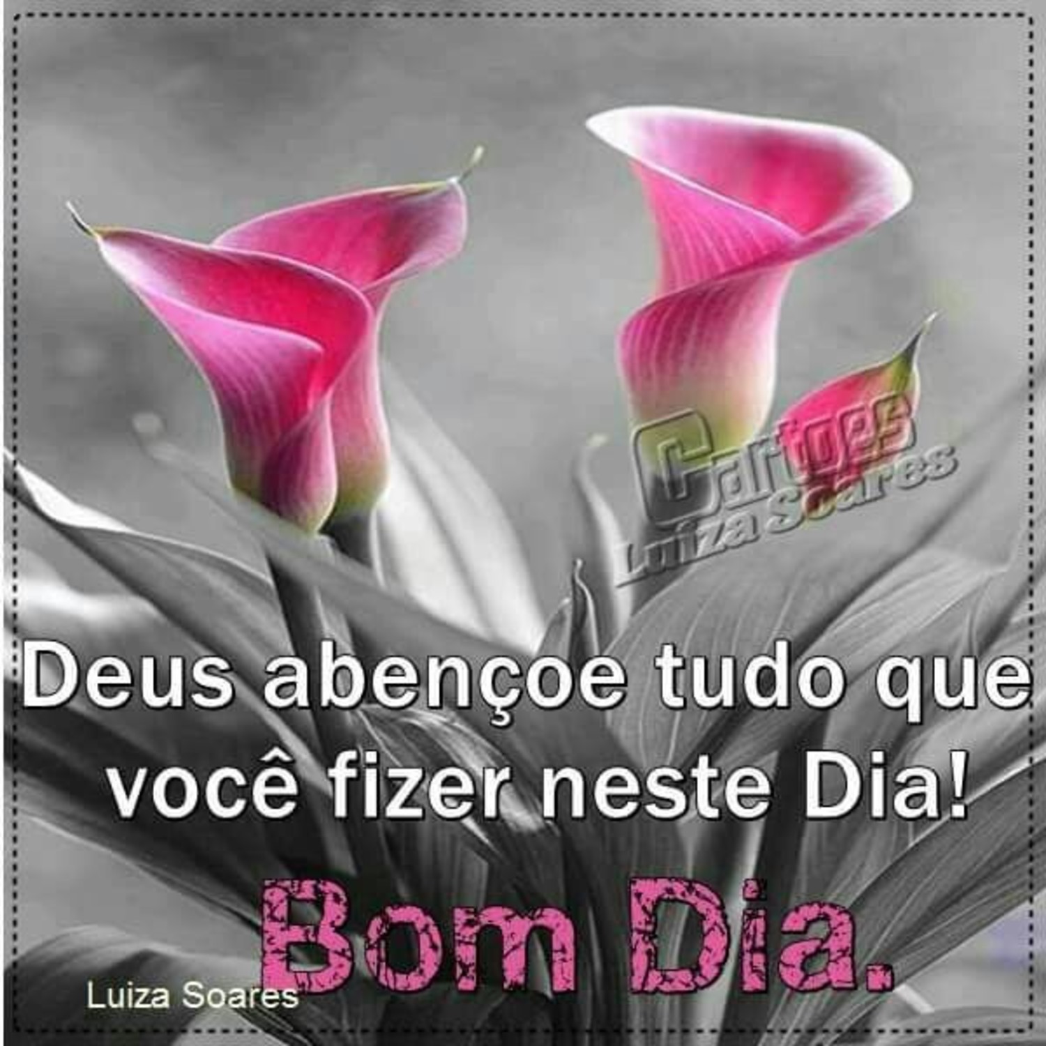 msg de bom dia com flores