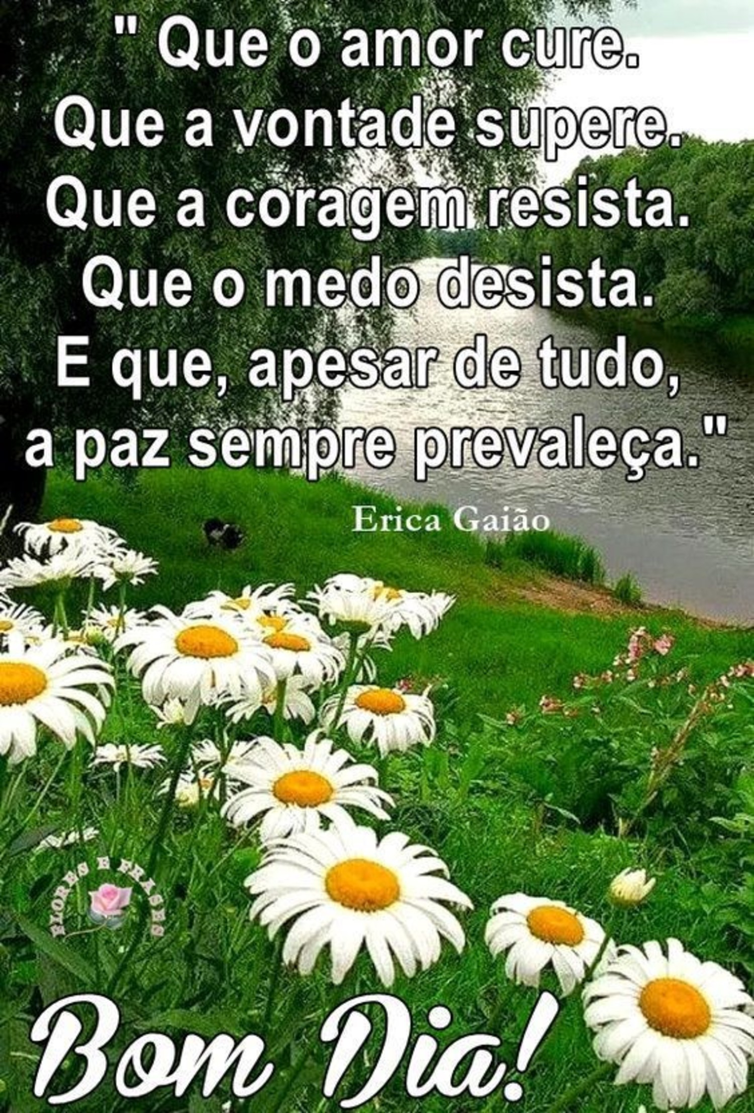 msg de bom dia com flores