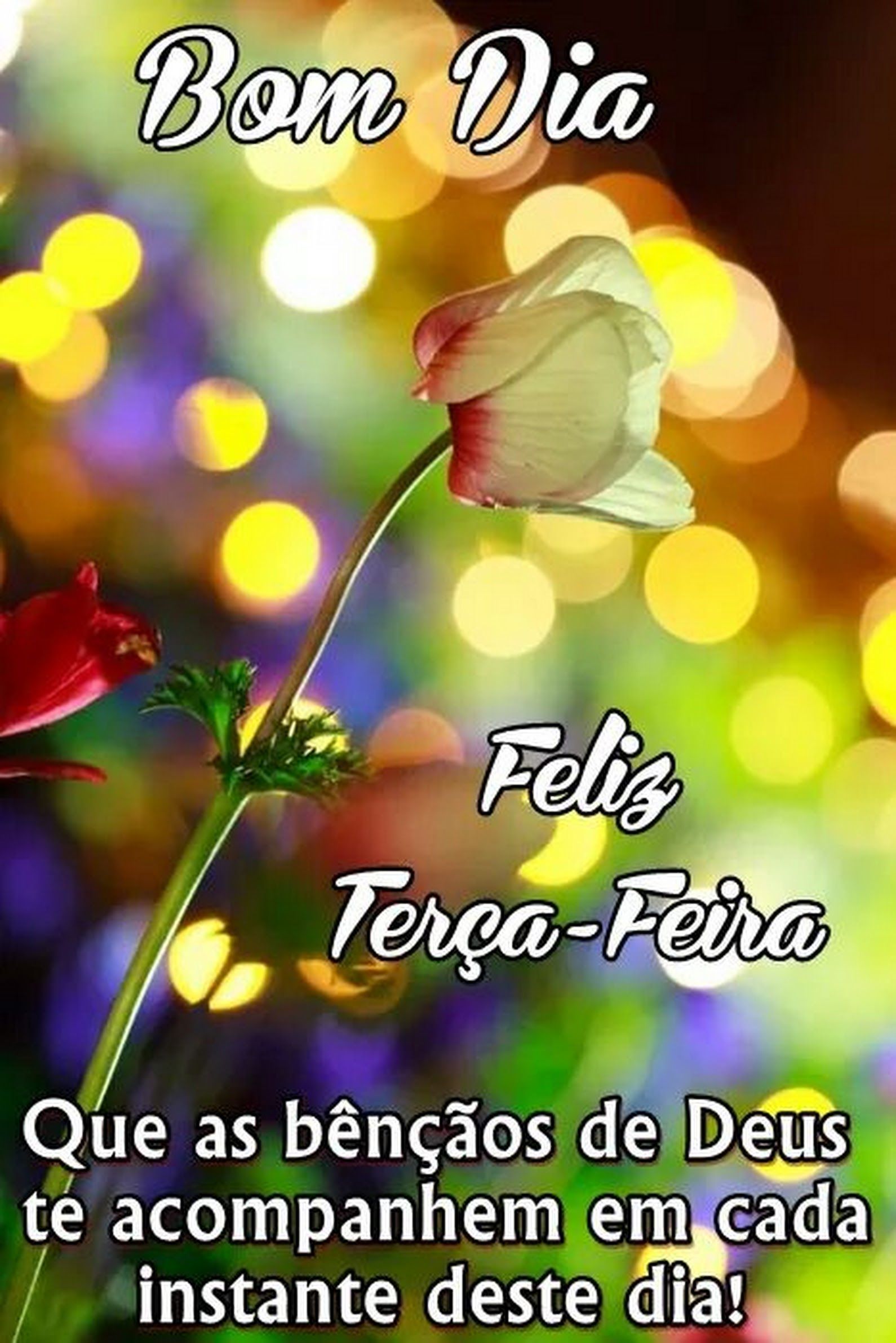 bom dia terça-feira abençoada por Deus