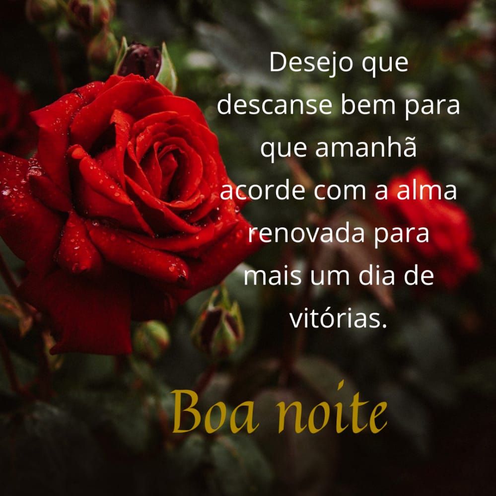 Mensagens de Boa Noite para WhatsApp com Imagem Bonita