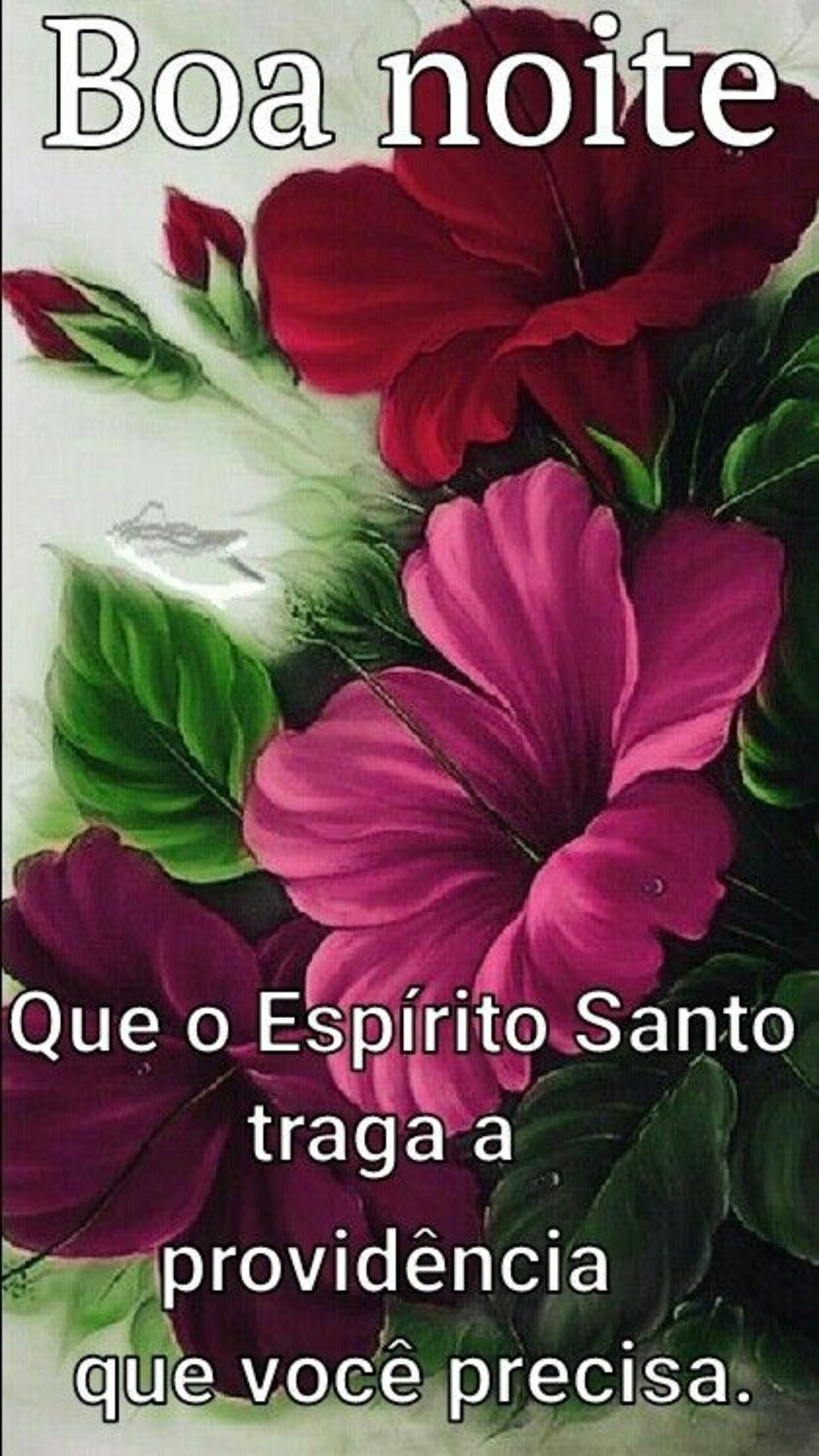 msg de boa noite para WhatsApp