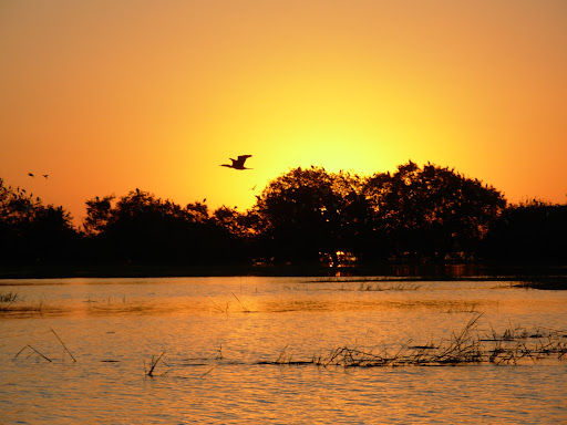 Pantanal (MT/MS)