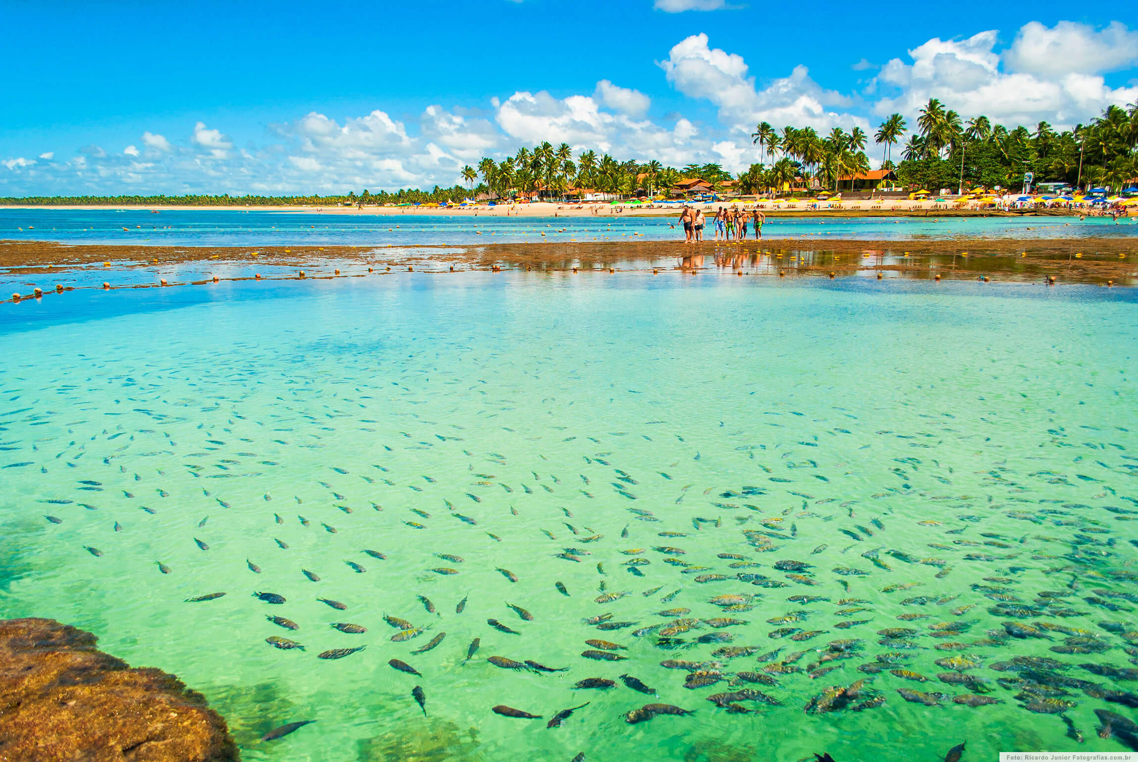 Praia de Porto de Galinhas (Pernambuco)