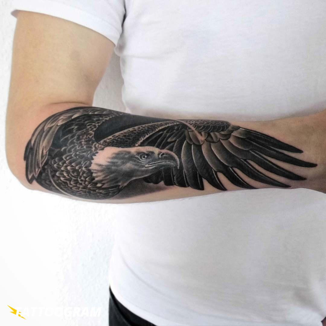 Tatuagens de águias