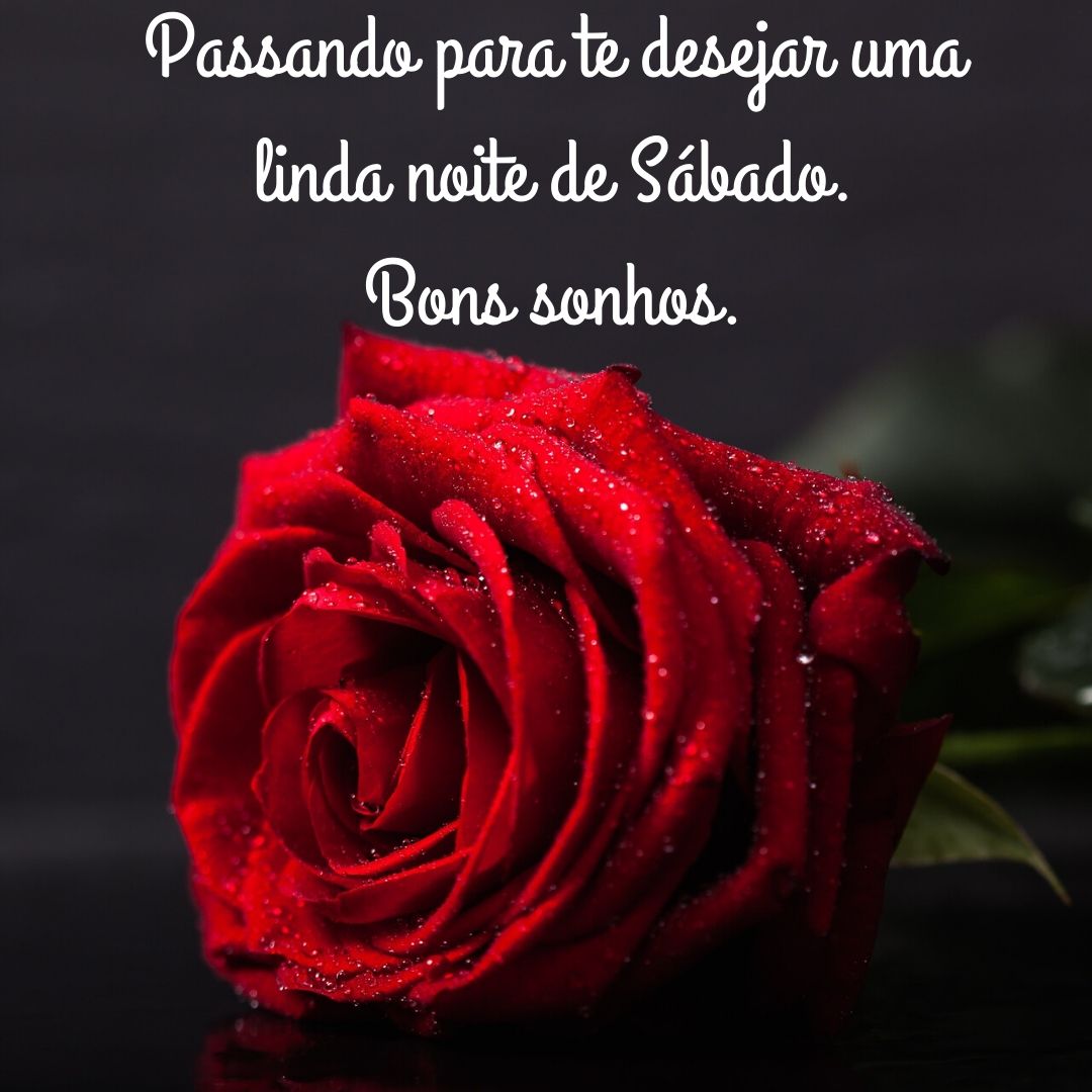boa noite com flores