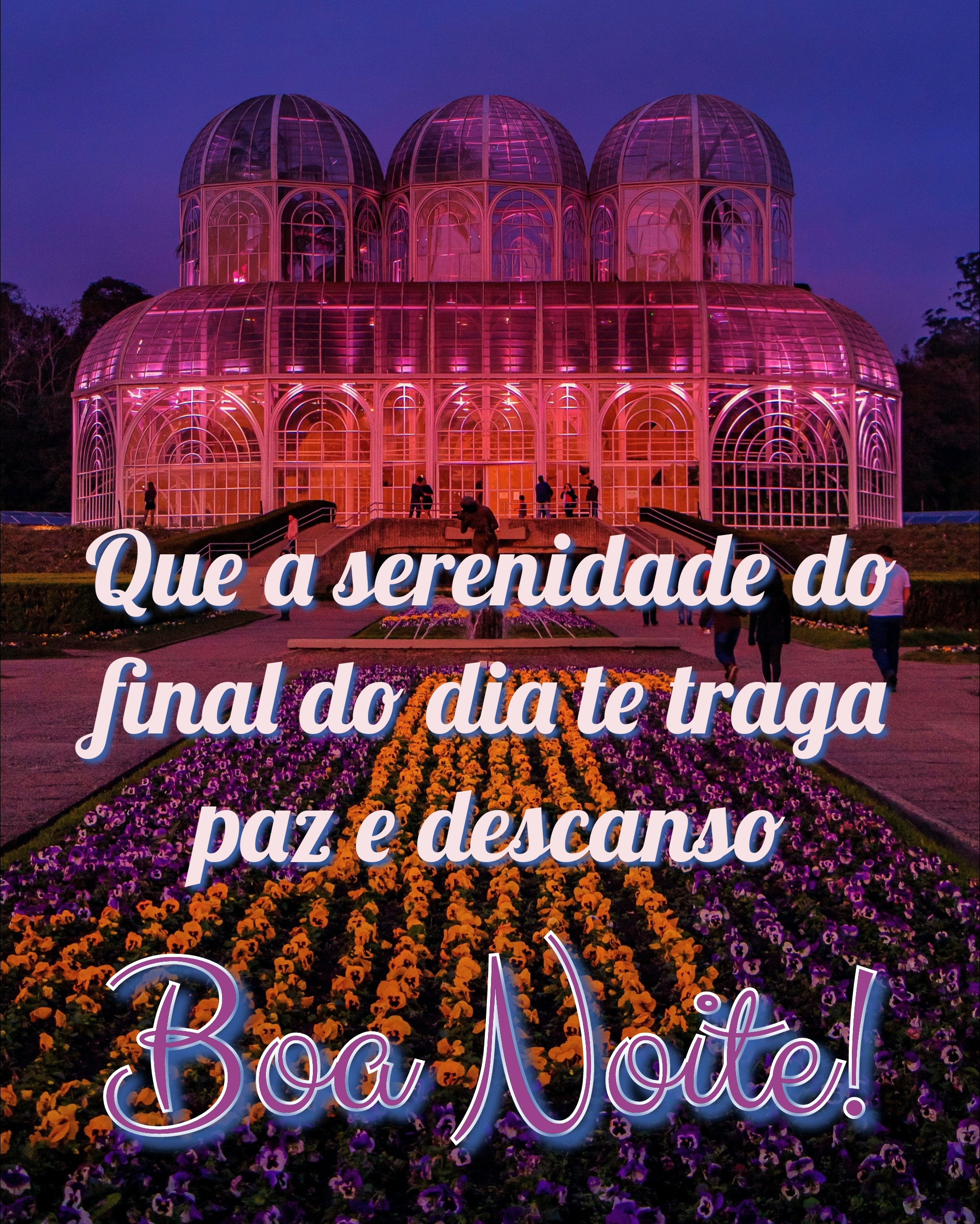 Mensagens de Boa Noite para WhatsApp com Imagem Bonita