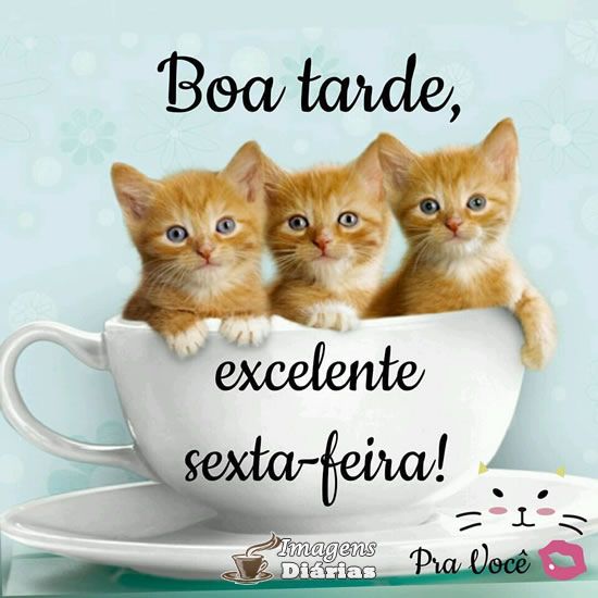boa tarde sexta feira
