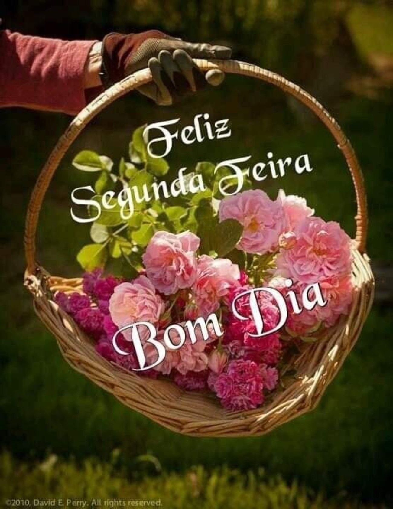 Bom Dia Segunda-Feira