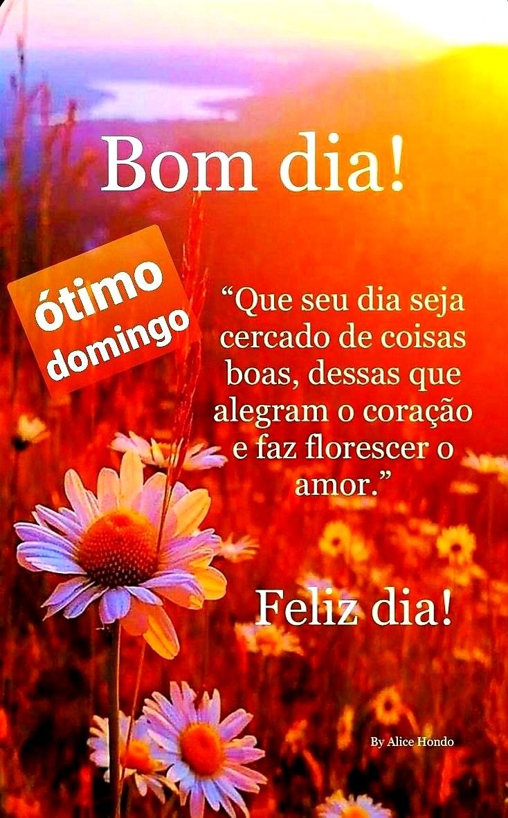 Mensagem Bom Dia Domingo