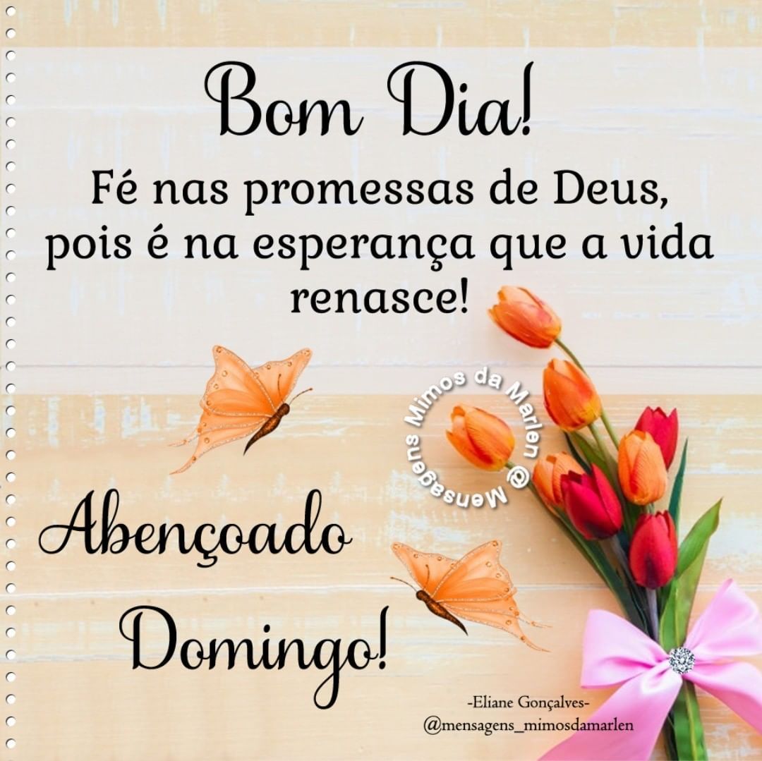 Mensagem Bom Dia Domingo
