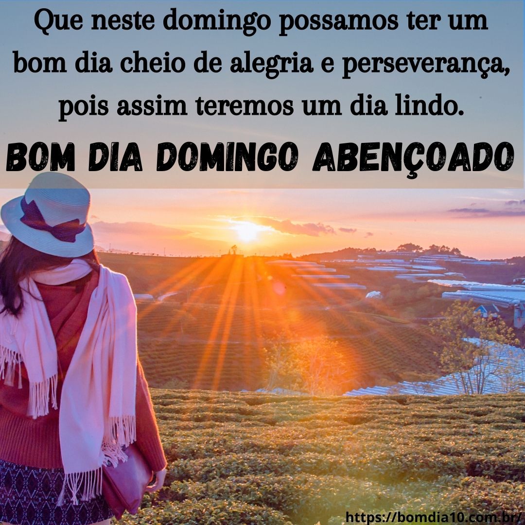 Mensagem Bom Dia Domingo