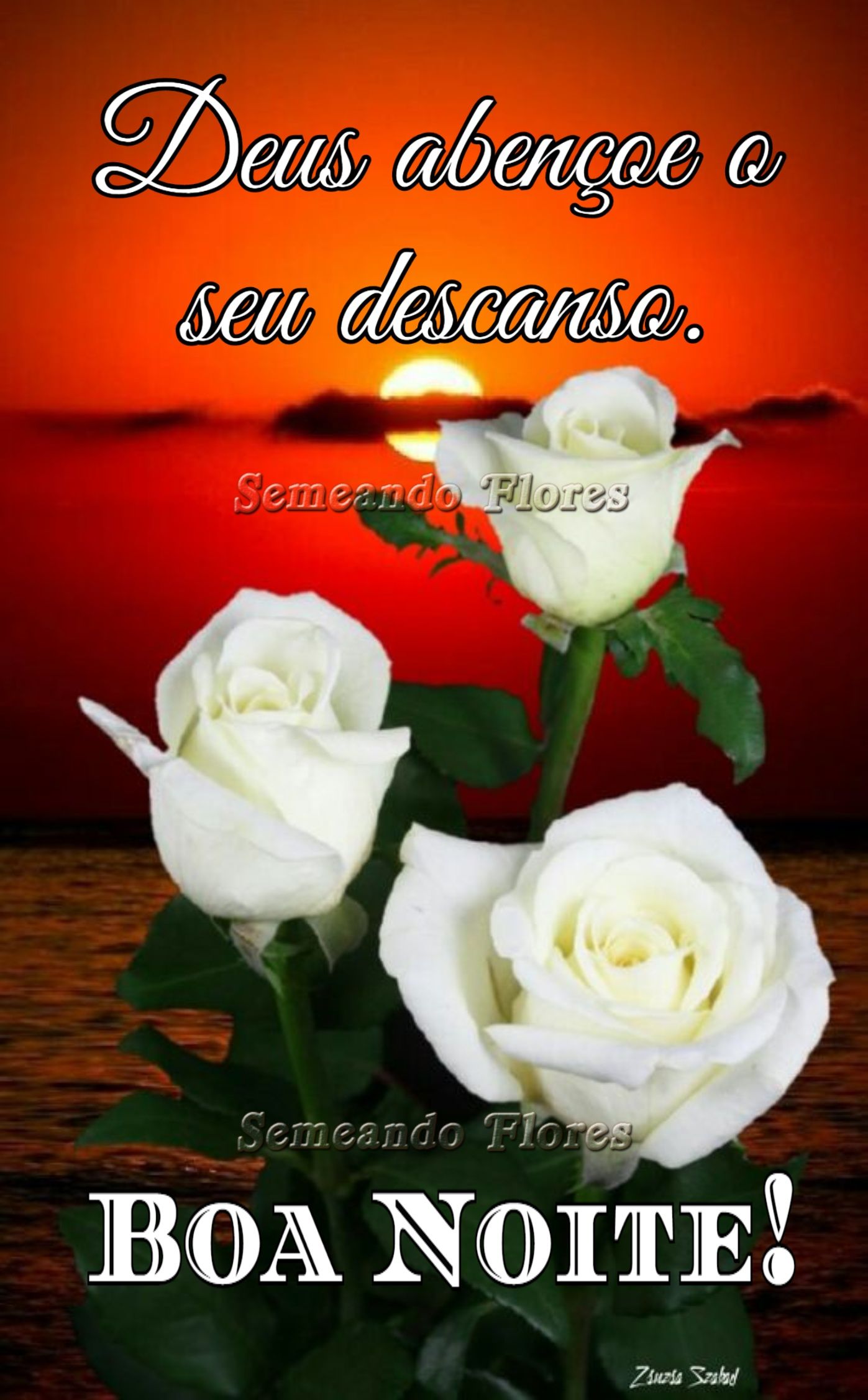 boa noite com flores