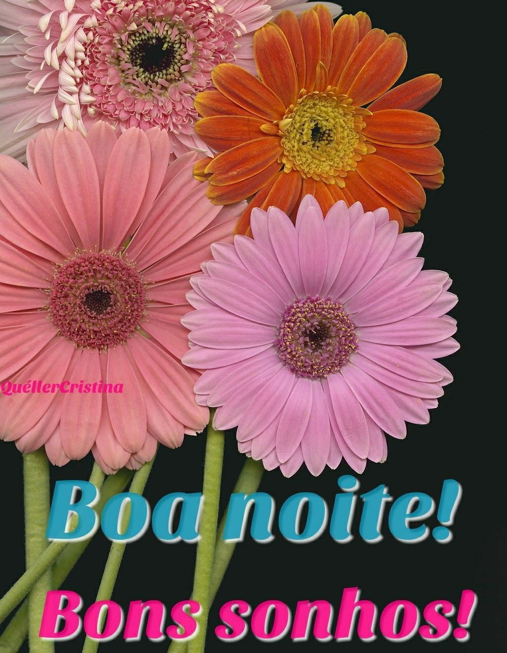 boa noite com flores