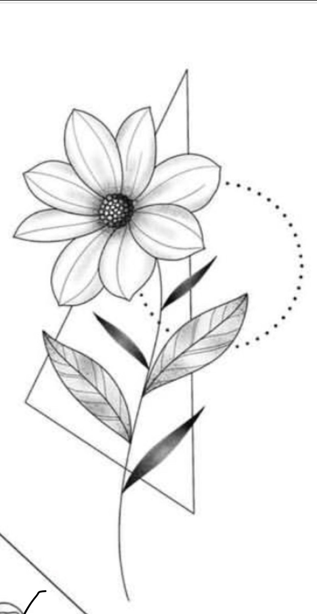 flores desenho tumblr