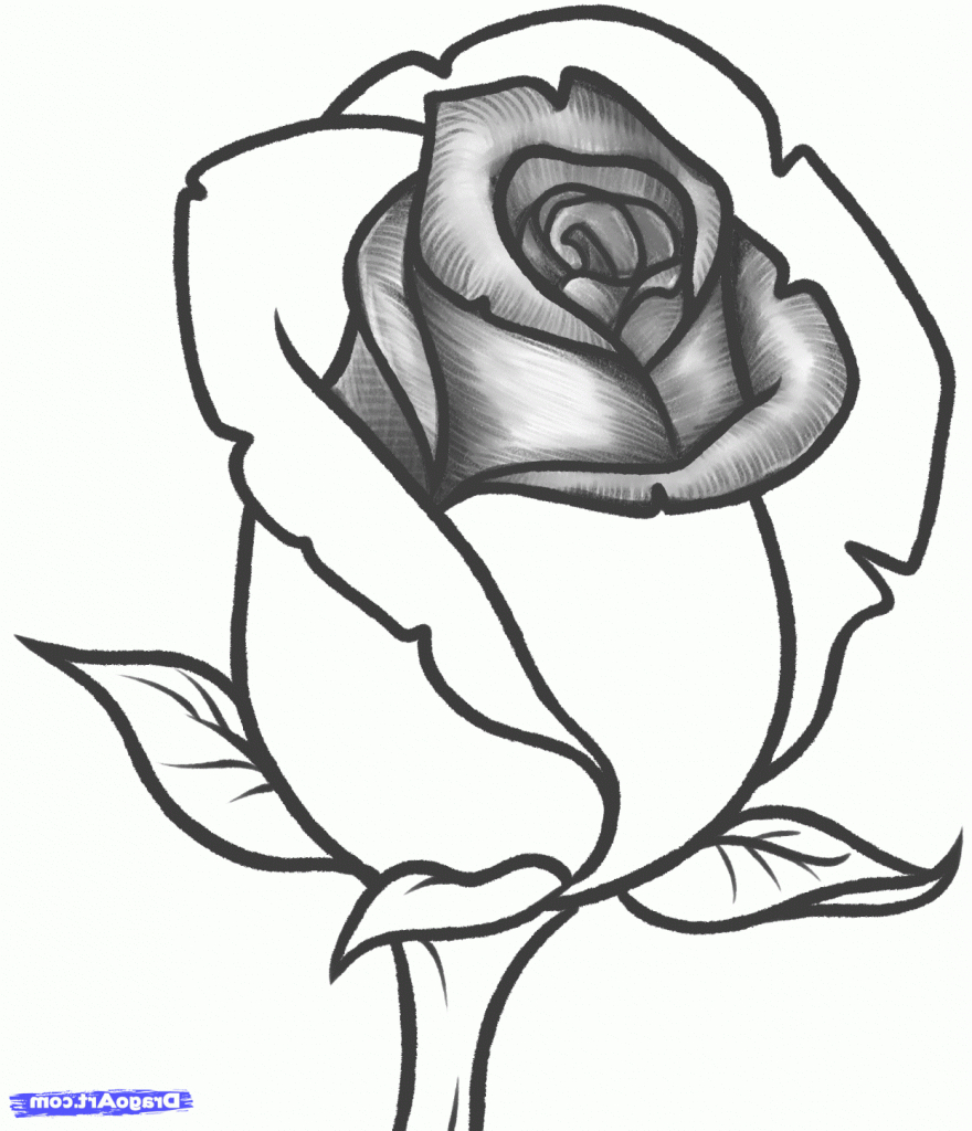 flores desenho tumblr
