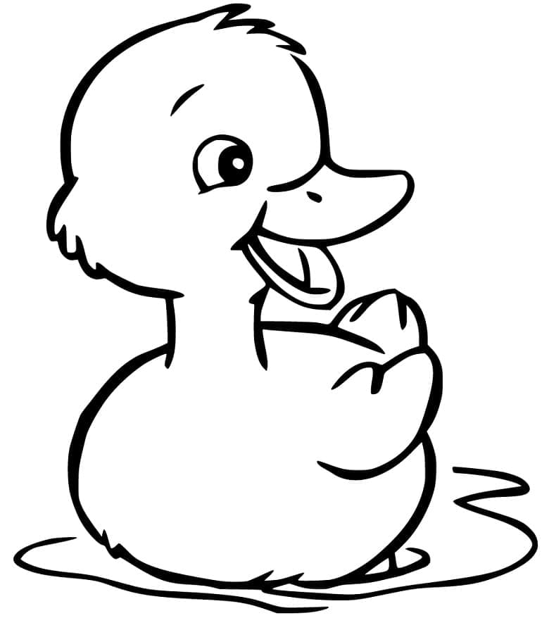 desenhos de animais para colorir