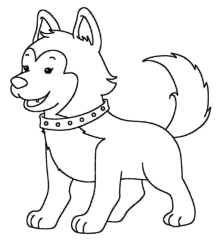 cachorro para colorir
