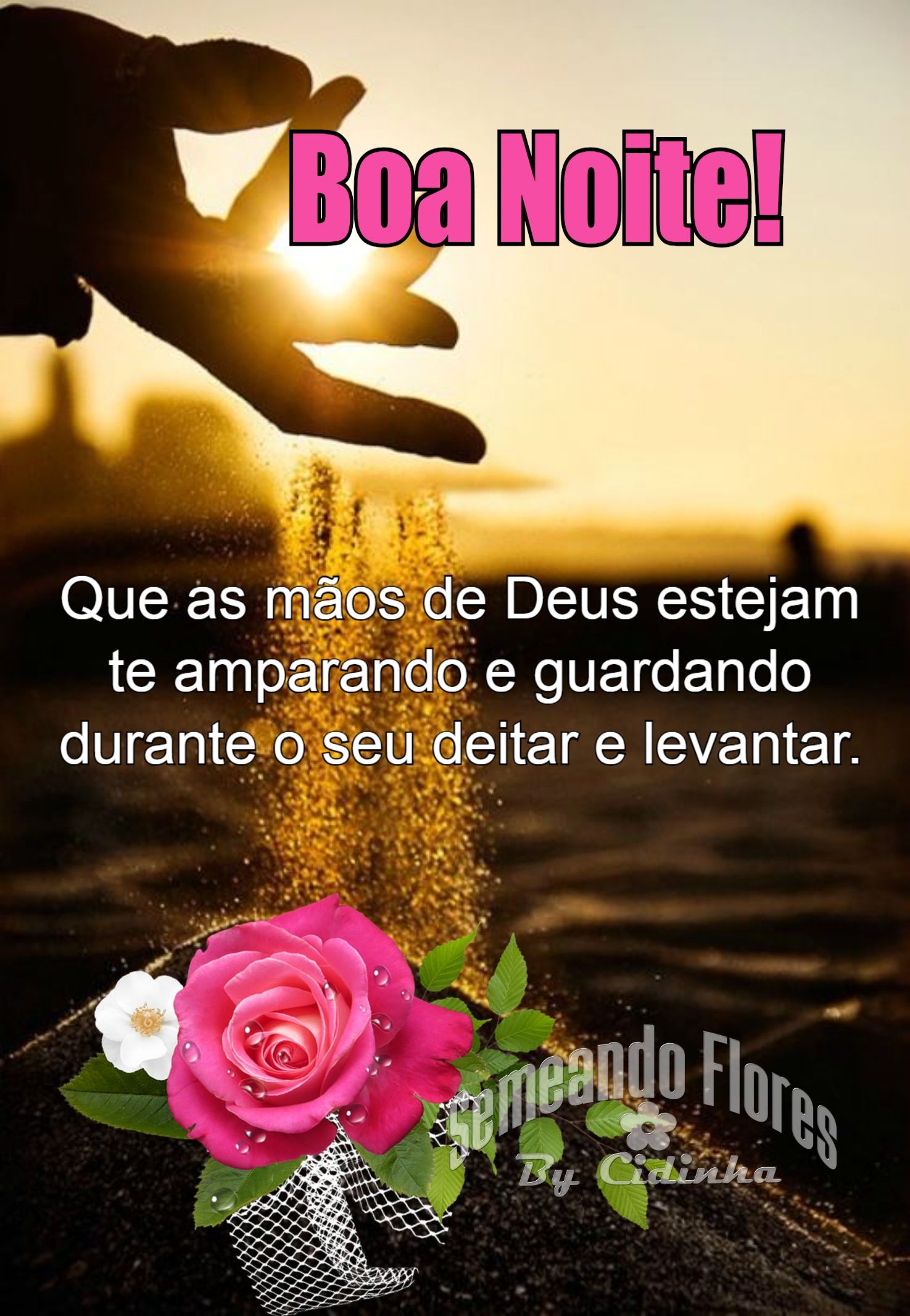 boa noite com flores