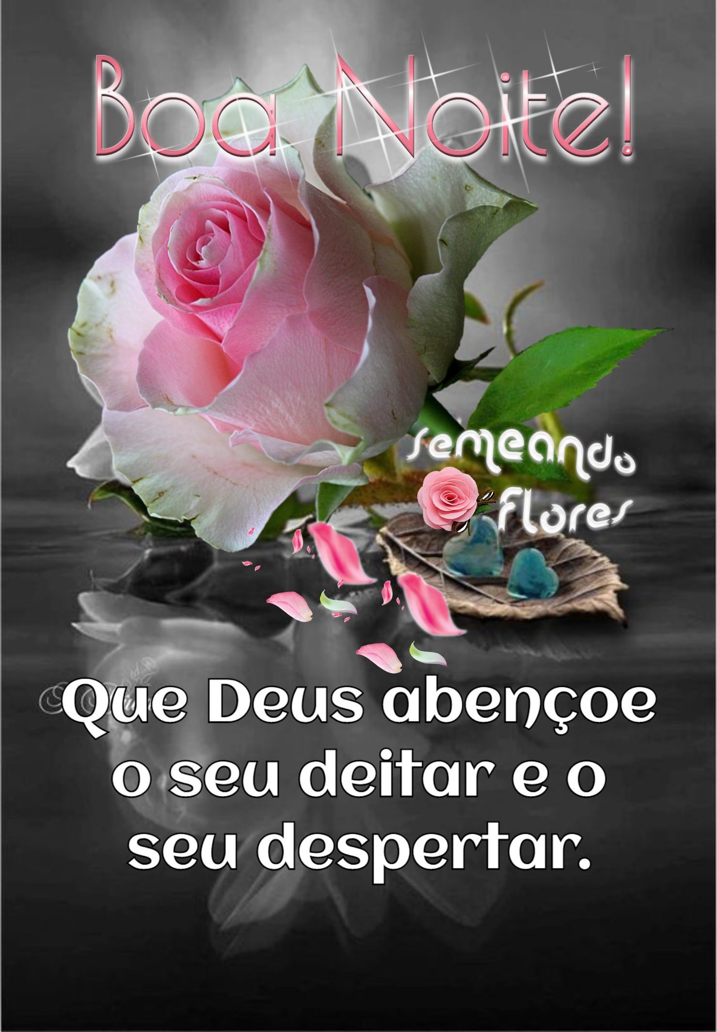 boa noite com flores