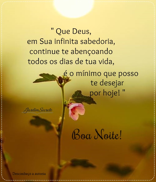 msg de boa noite para WhatsApp