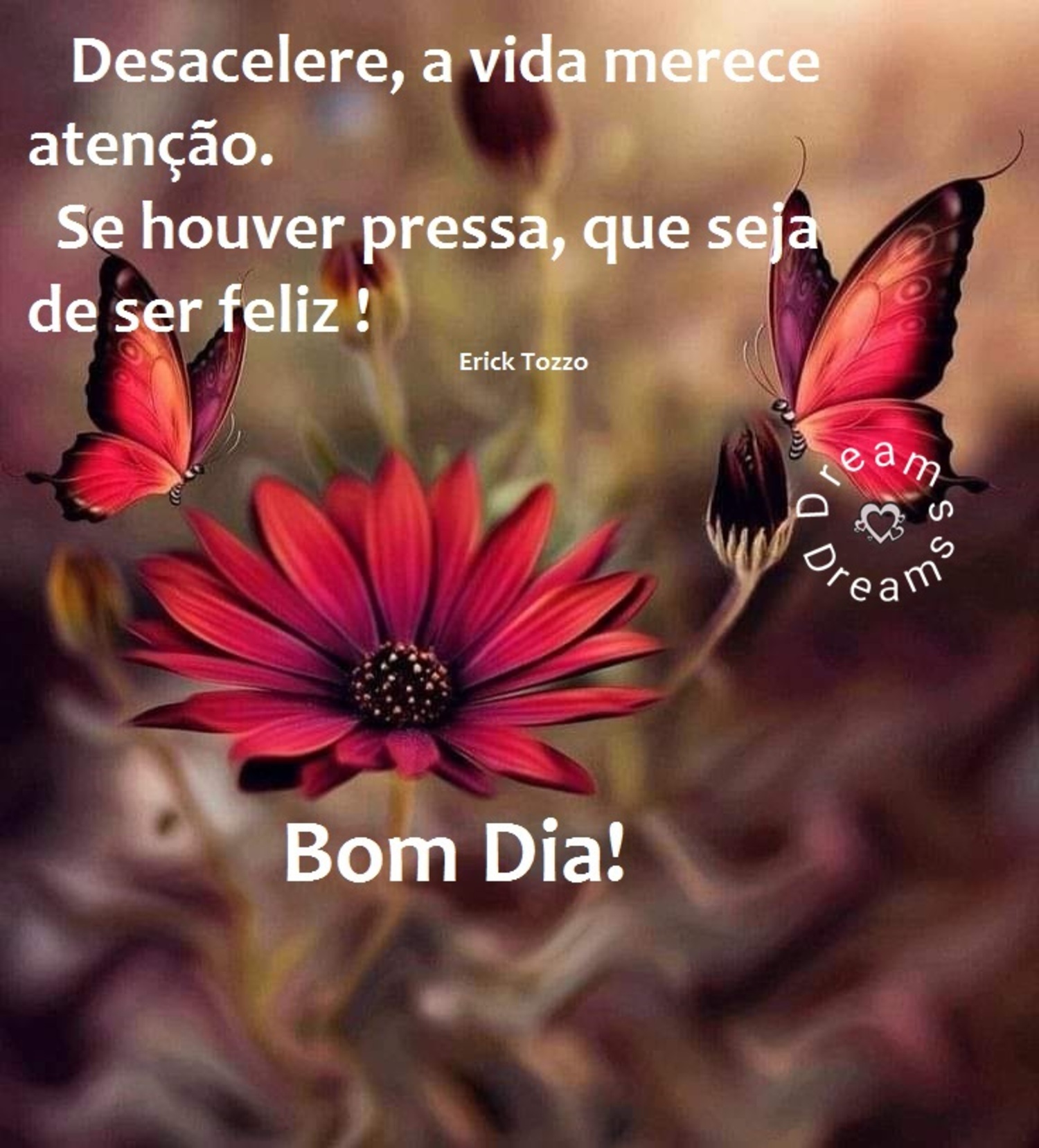 Frases de Bom Dia para Whats