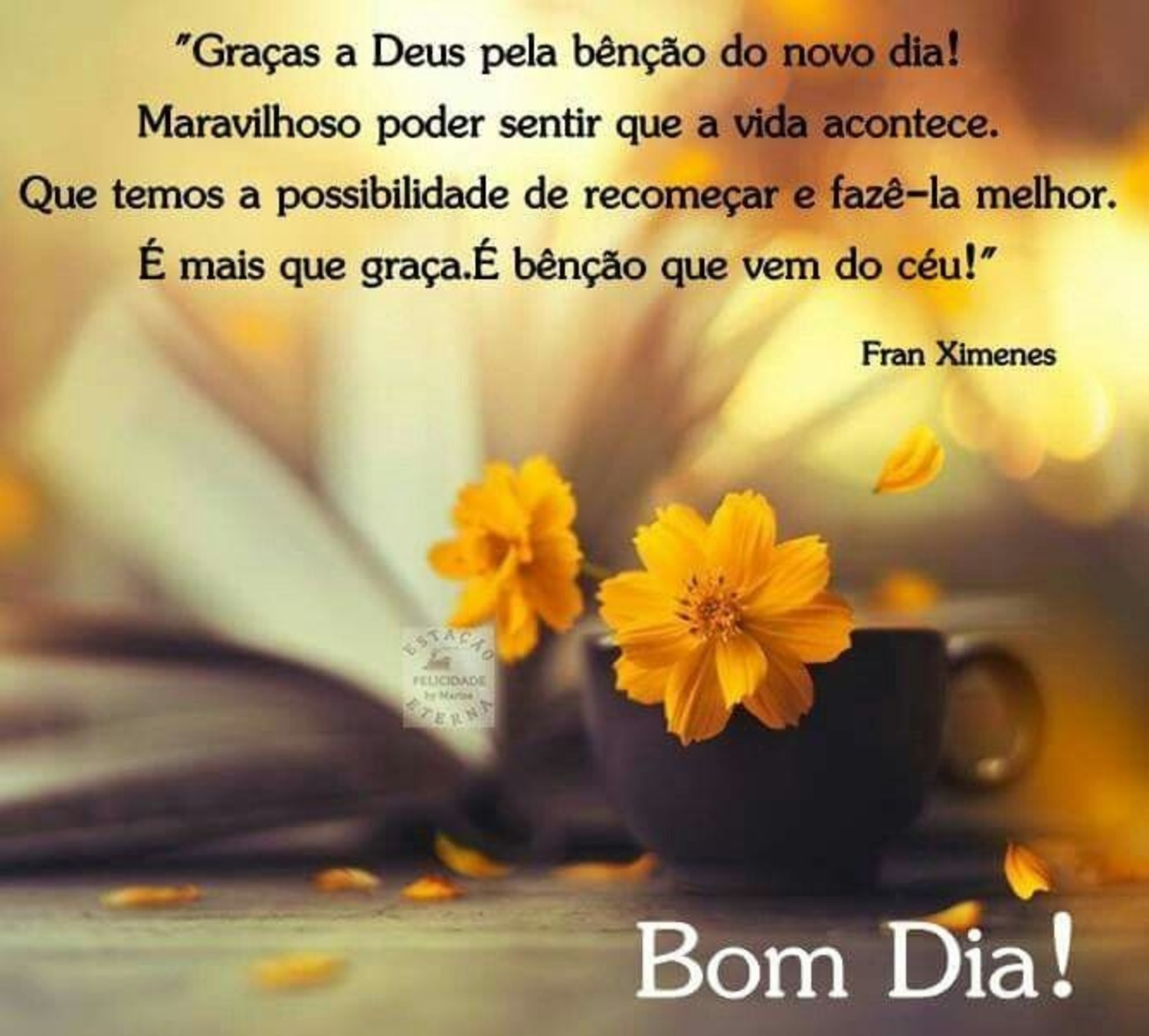 Frases de Bom Dia para Whats