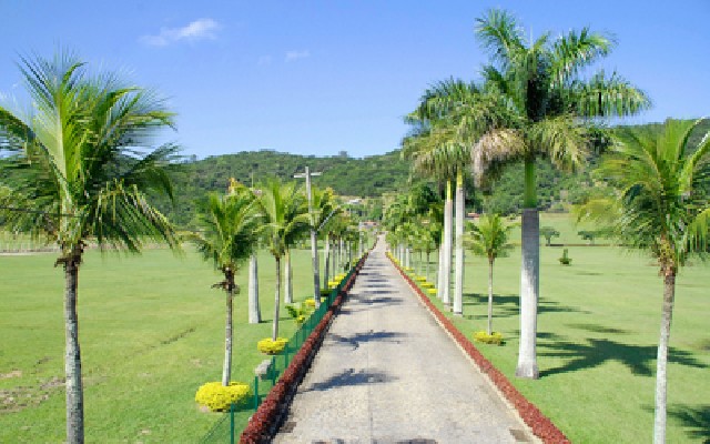 Jardim da Saudade Paciência