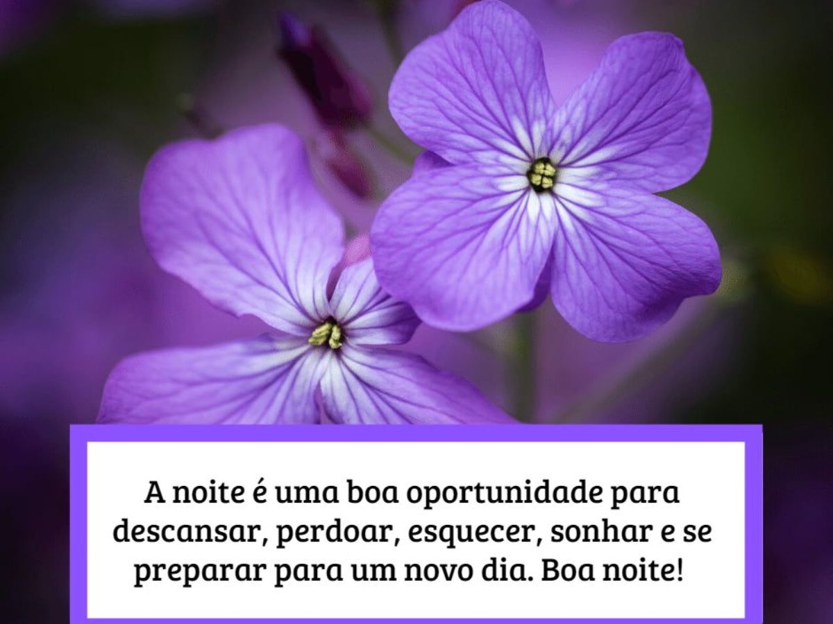 boa noite com flores