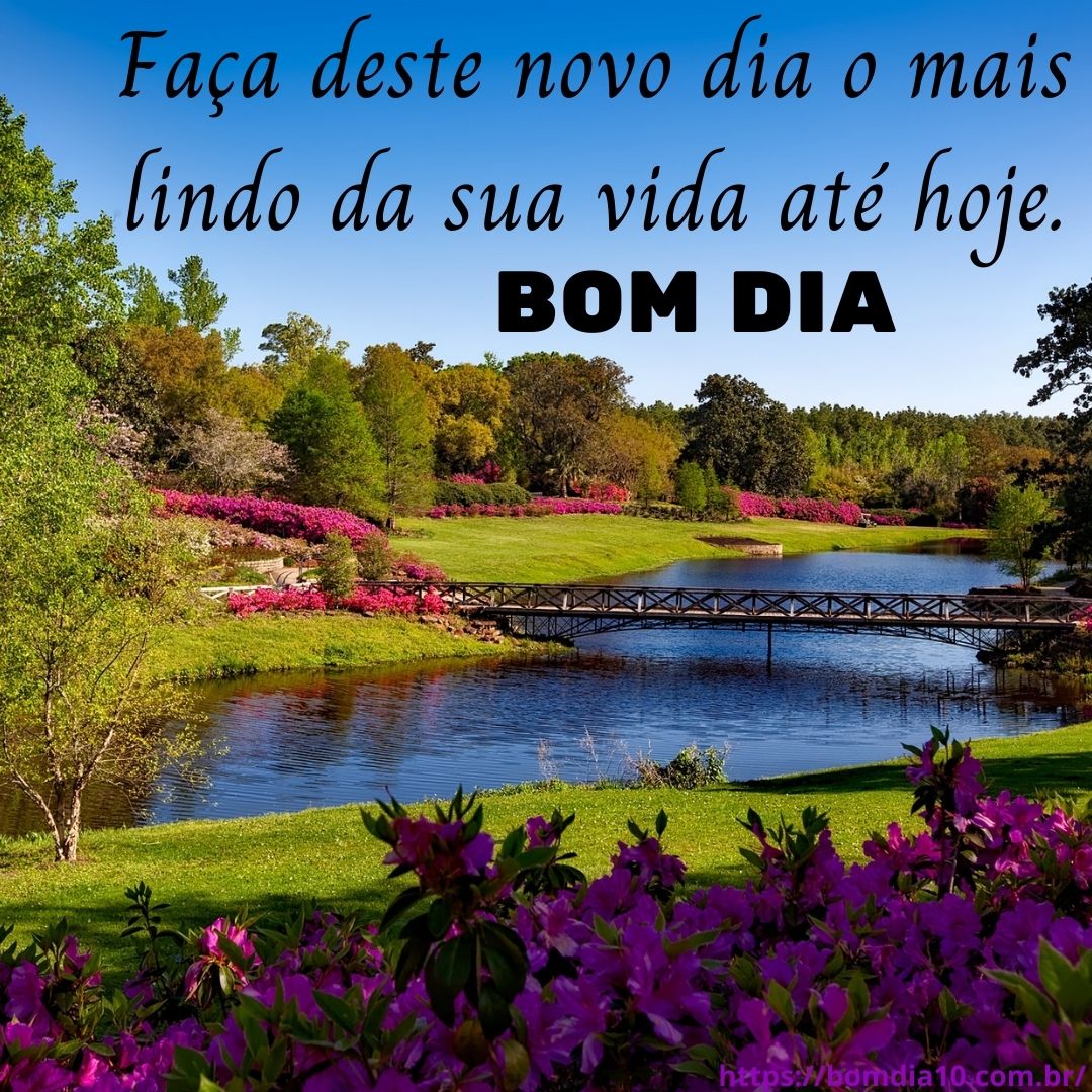 msg de bom dia com flores