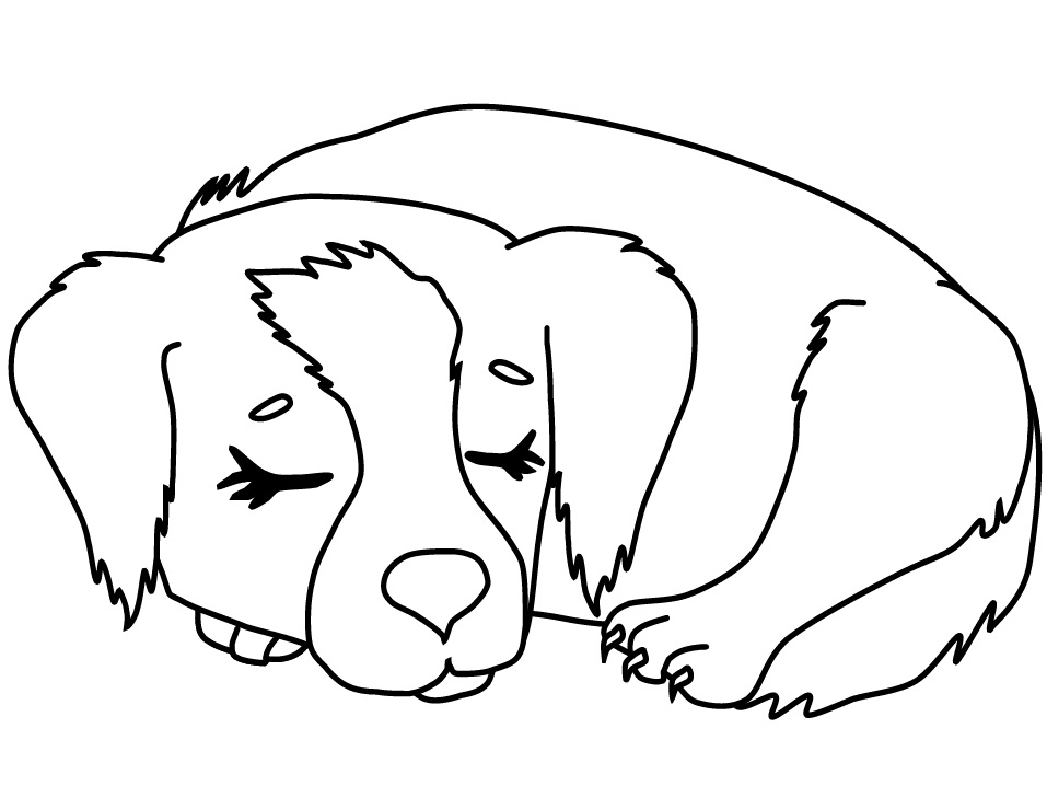cachorro para colorir
