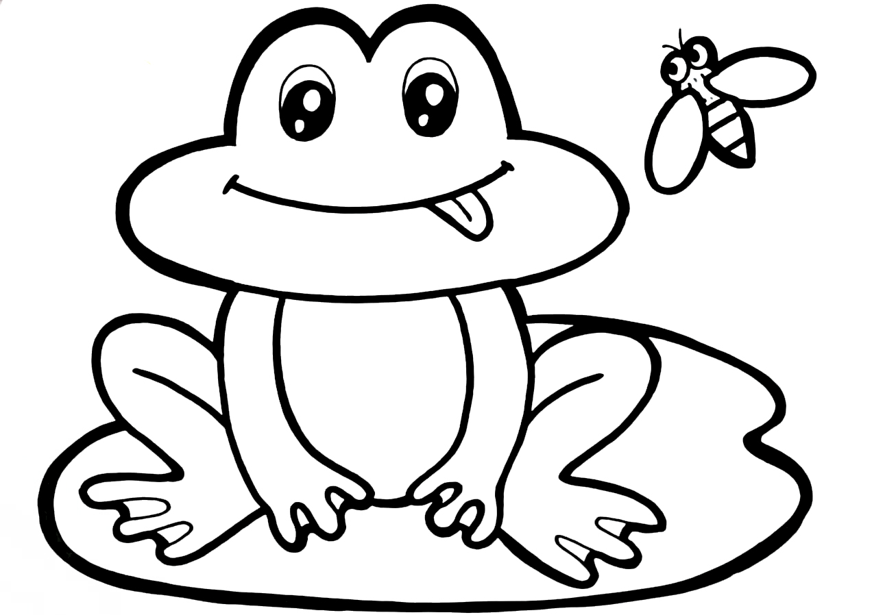 sapo para colorir