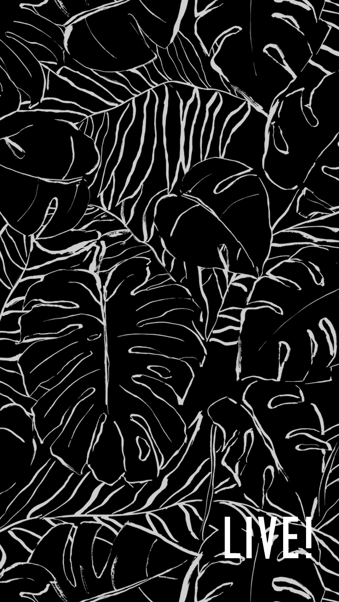 celular wallpaper