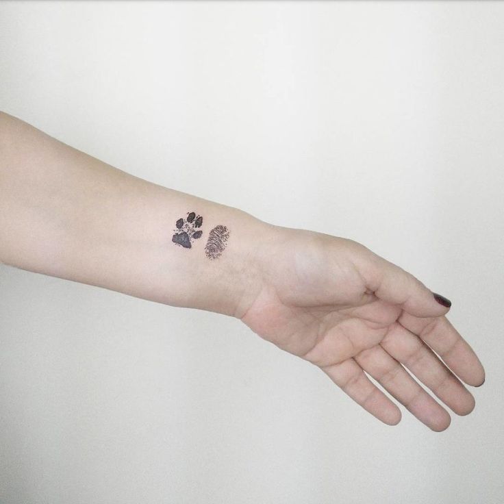 tatuagens no antebraço