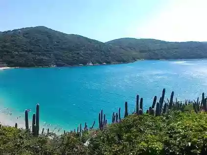 Praia do Forno - Arraial do Cabo: o que saber antes de ir?