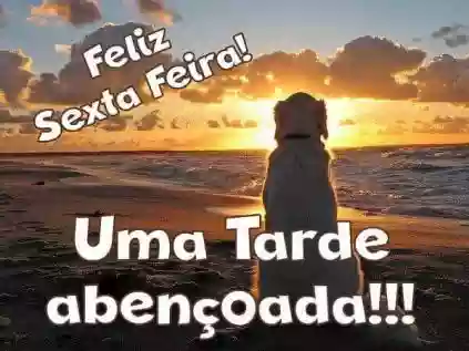 "Sextou": frases e imagens de boa tarde sexta feira