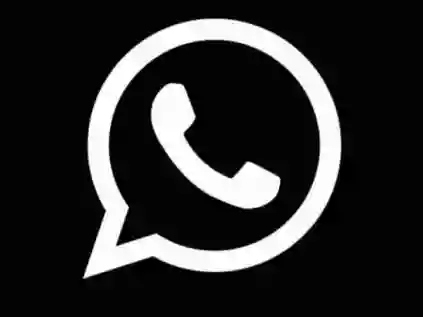 Como usar o WhatsApp Status? Aprenda tudo aqui!