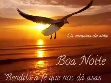 MSG de Boa Noite para WhatsApp