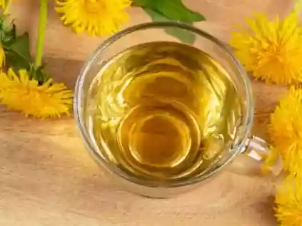 Dente-de-leão: Muito mais que uma flor daninha! Descubra os benefícios surpreendentes do chá