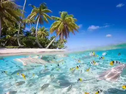 Confira lindas fotos praia gratuitas, para usar como papel de parede