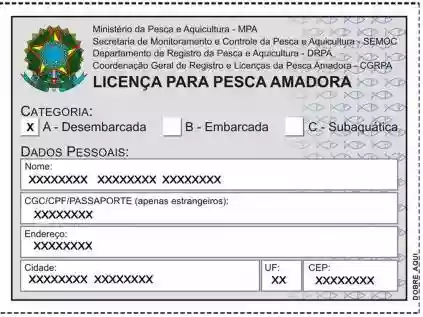 Aprenda a solicitar carteirinha de pescador na internet