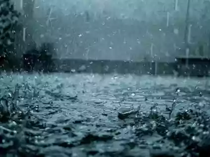 Chuva ácida: o que é, formações e efeitos