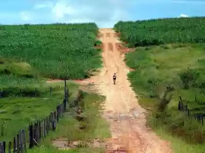 Mapa da Fé Minas Gerais: saiba como fazer o caminho e mais dicas