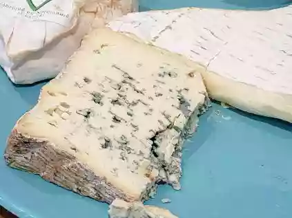 Veja queijo francês produzido através de leite de ovelha 